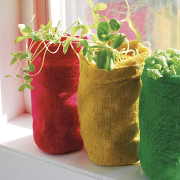 bag-plants